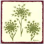 Queen Anne's Lace as a tile, trivet, or wall plaque. Can be used in a kitchen backsplash or bathroom tile.